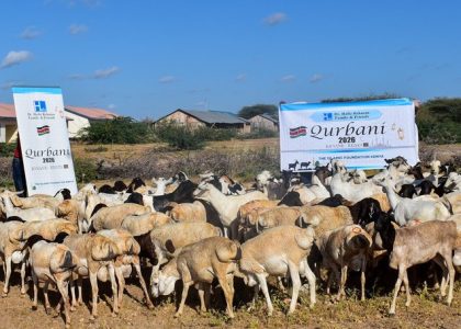 Animals for Qurbani 2026 with Dr. Hafiz Rehman Family and Friends