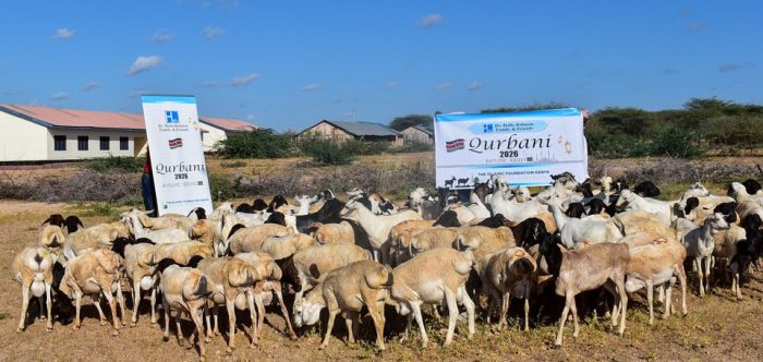 Animals for Qurbani 2026 with Dr. Hafiz Rehman Family and Friends